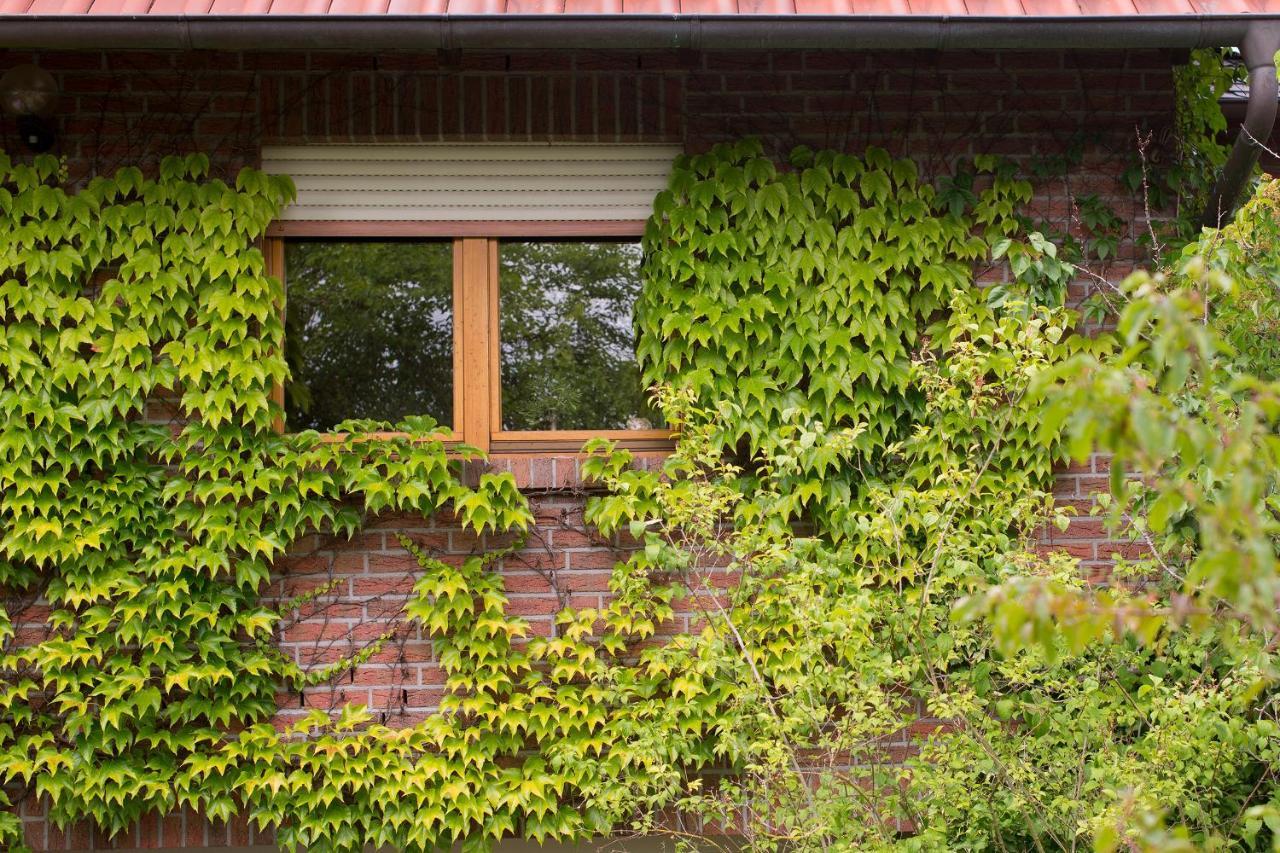 Ferienwohnung Meinersen Экстерьер фото